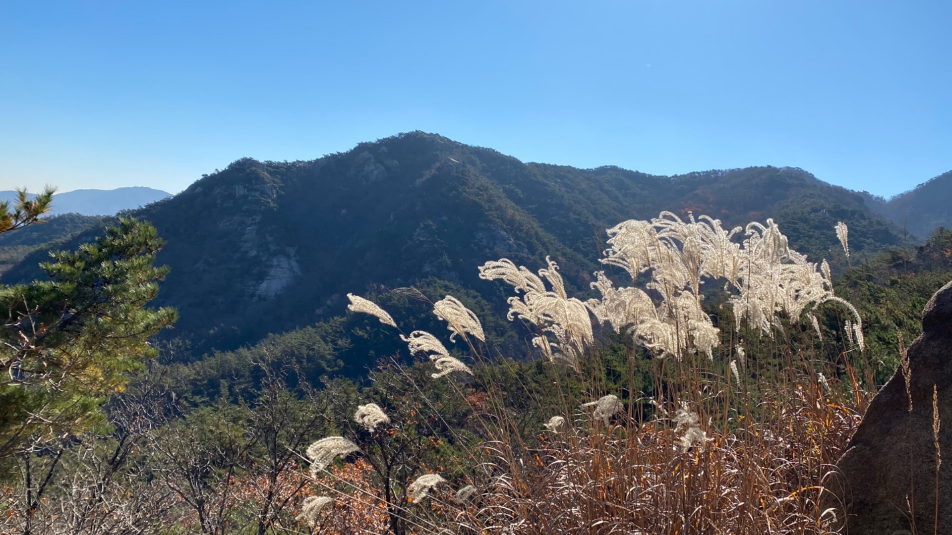 힐링 단풍 명소! 관악산으로 단풍놀이 다녀왔습니다.
